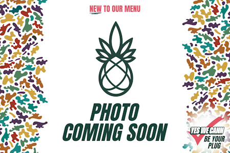  - 1000mg THC Hybrid Summer Watermelon Tincture - Saida