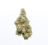 Humboldt OG - 3.5g (H) - UpNorth