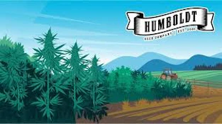 Humboldt Seed Company - Royal Highness (Feminized) - Seeds - 3pk