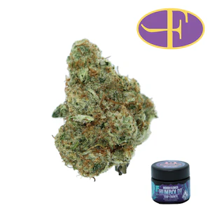 HUMBOLDT TERP COUNCIL - Northern Lights #1