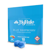 HYRULE - BLUE RASPBERRY 100MG DIVIDABLE GUMMIES
