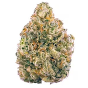 Dat Big Nasty | Indica | $25