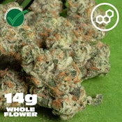 Black Cherry GMO 14g 41399
