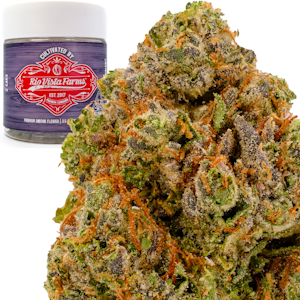 RIO VISTA FARMS - Karamel Kutthroat 3.5g Jar - Rio Vista Farms