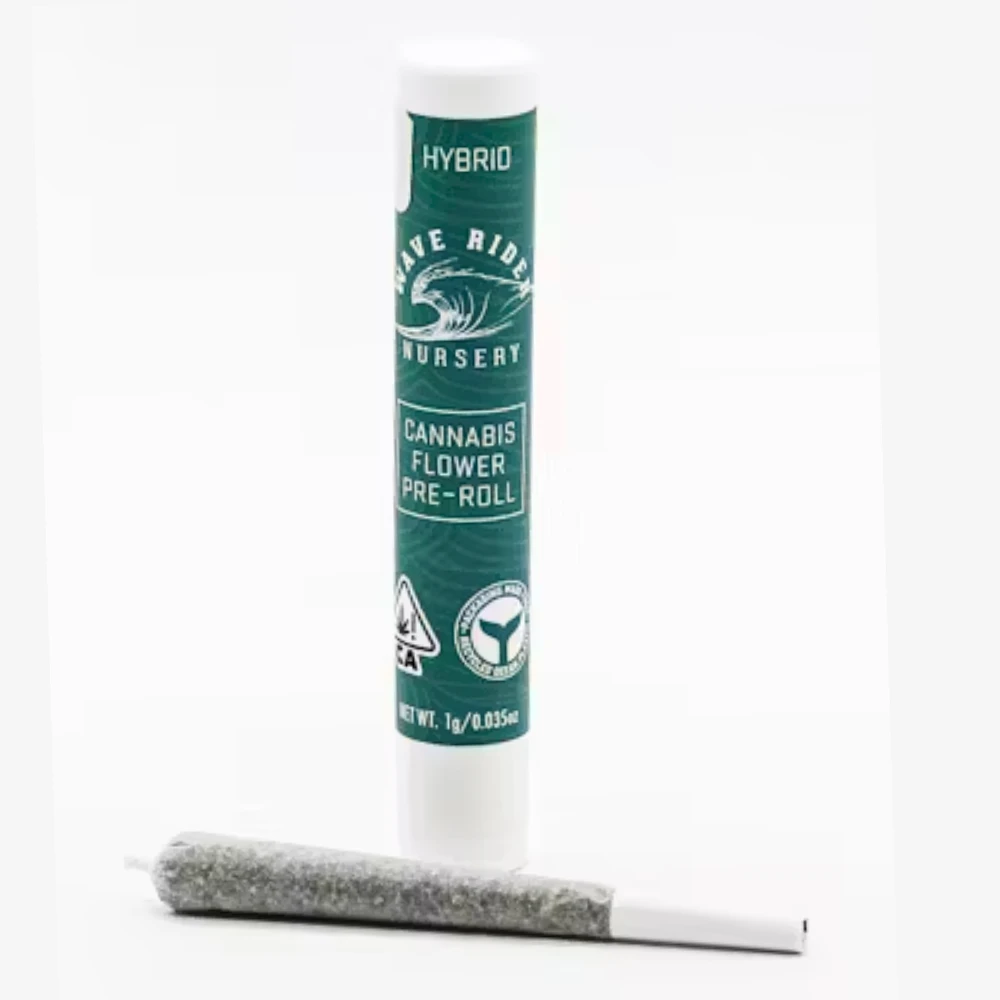 Wave Rider - Apple Fritter Preroll (1g) Main Image