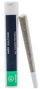 Pruf Cultivar Island Pie Single Pre-Roll 1g