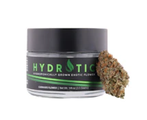 Loose Cannon | 4g | Hydrotic