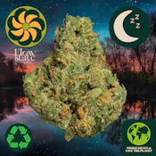 Flow State I-95 Ckies 42205