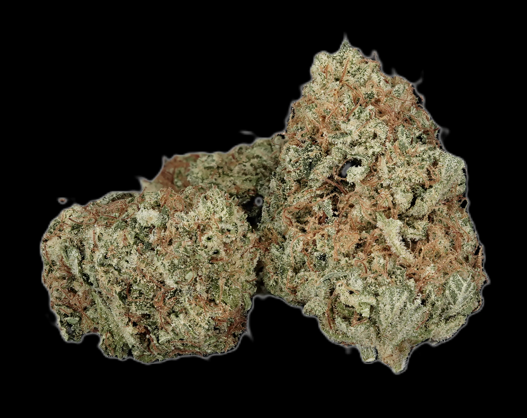 Chronicseur Farms - I95 Bulk Flower  Main Image