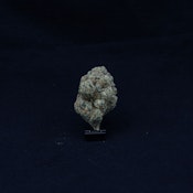 THC | ICC x Kush Mintz