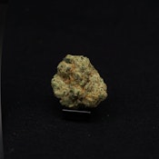 THC | ICC x Kush Mintz