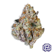 Ice Gusher #11 Flower