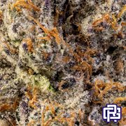 Ice Gusher #11 Flower