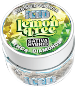 ICED - 3.5g Infused - Lemon Tree