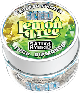 ICED - ICED - 3.5g Infused - Lemon Tree