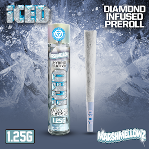 ICED - Iced | Infused Pre-roll | Marshmellowz | 1.25g
