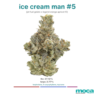 MOCA Flowers - MOCA Flowers - 1G Smalls - Ice Cream Man #5
