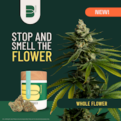 The Botanist | Whole Flower | Guava Now N Later | 14g