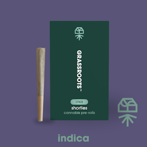 GRASSROOTS (NM) - Grassroots | 5pk (.4g) Prerolls | Foreign Kush Mints | 2g