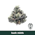 Product Preview Image 2