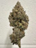 Product Preview Image 1