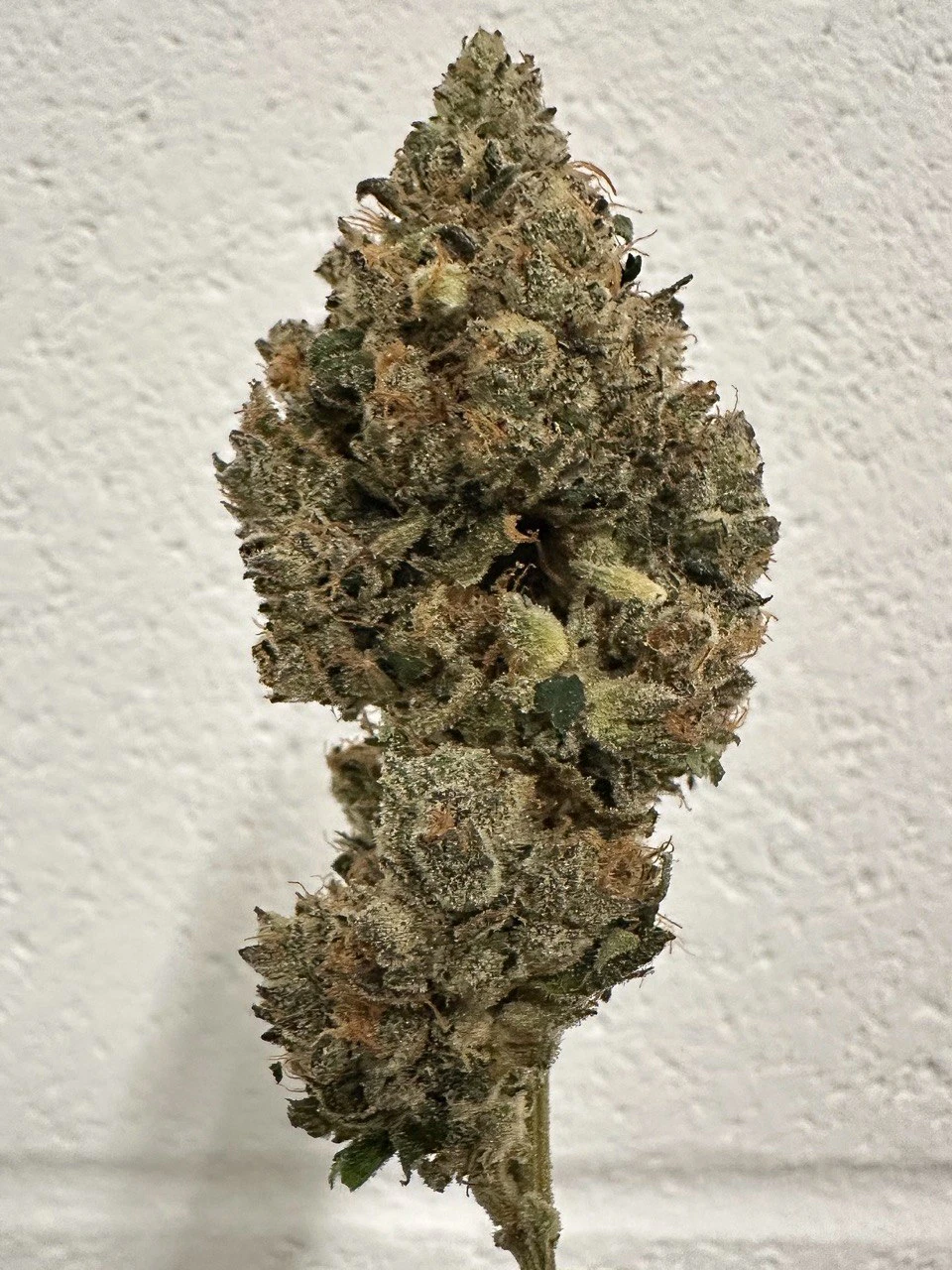 AltSol - 3.5g Duct Tape - Sativa Dom Hybrid Main Image
