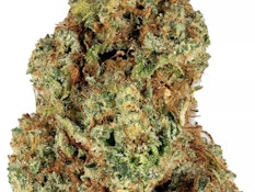 Lemon Haze