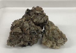 Lemon Fuel 