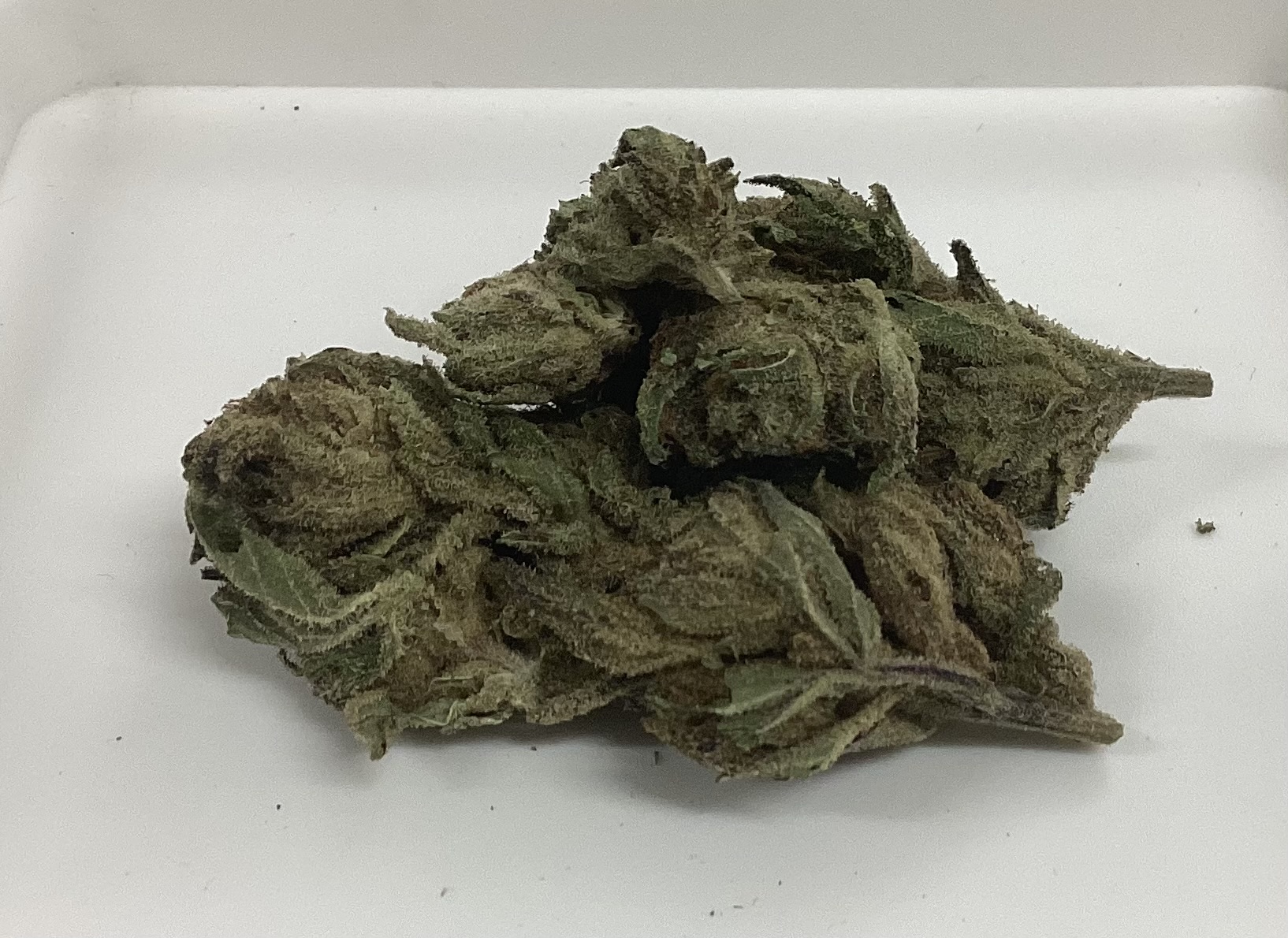 Blueberry Muffin