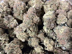 Crownpoint- Gastro Pop Deli Flower