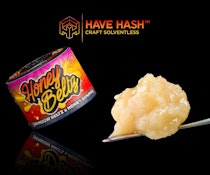 Have Hash - Cold Cure - Honey Beltz T3 - Concentrates - 1.0g