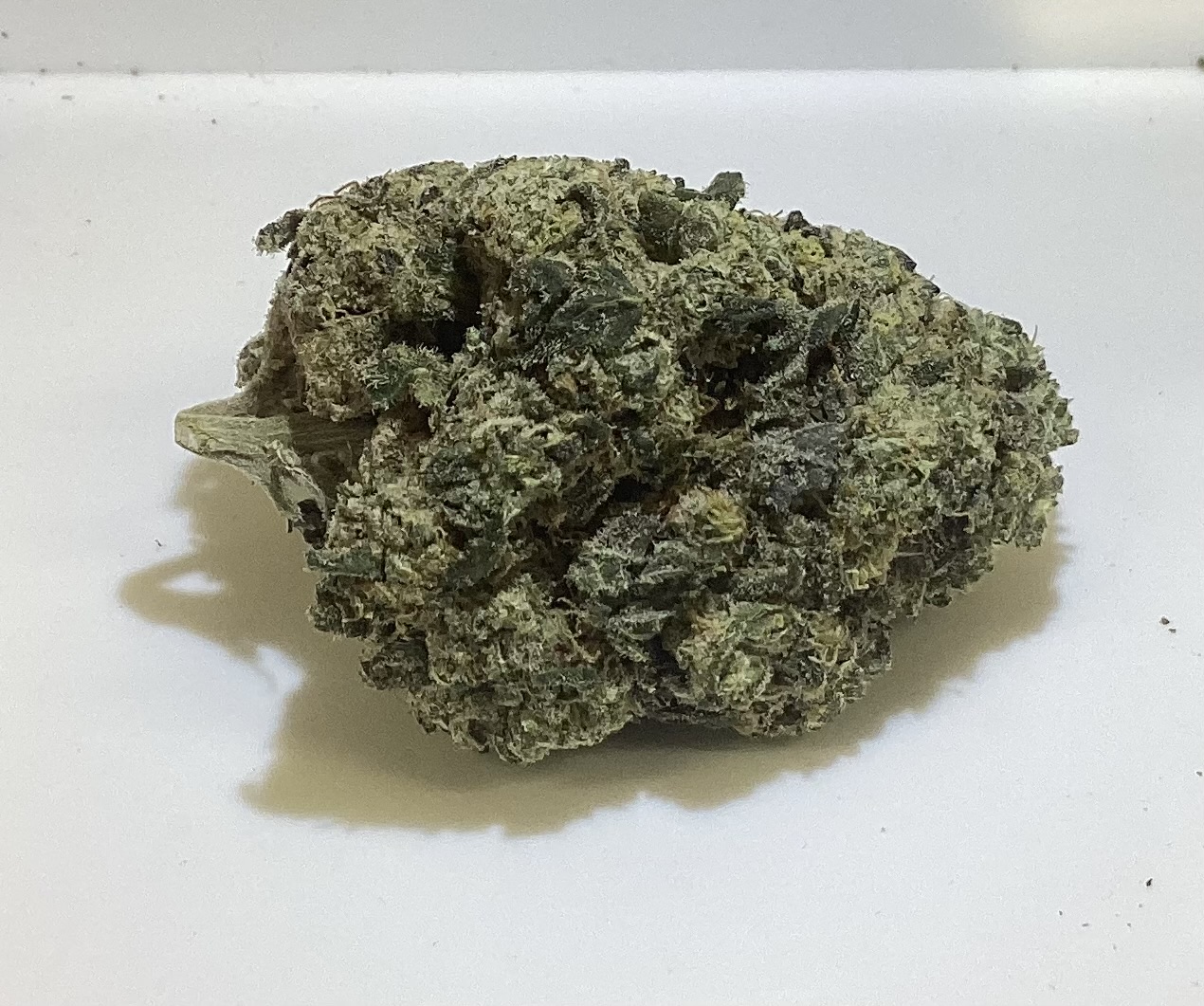 Kush Mintz