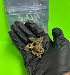 UNLOC - UL | Apple Runtz