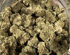 Hippy Trout - Gelato Frosting #5 Deli