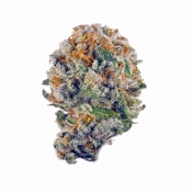 Purple Gelato