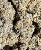 *INSANE* Hit n' Run | Skunkfoot Farms