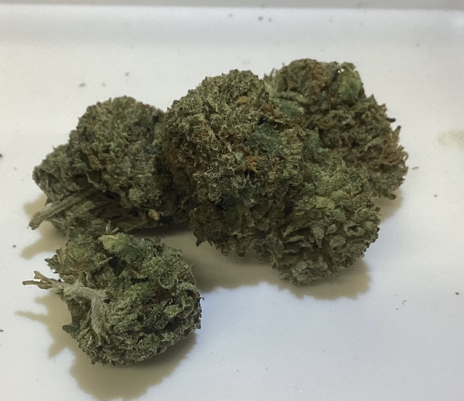 Mk Ultra