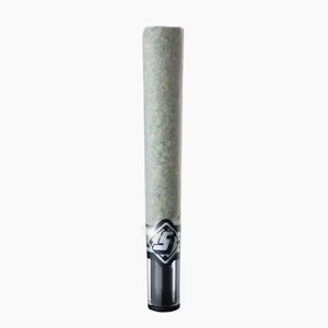 Sluggers - [Sluggers] Infused Preroll - 1.5g - Runtz (H)