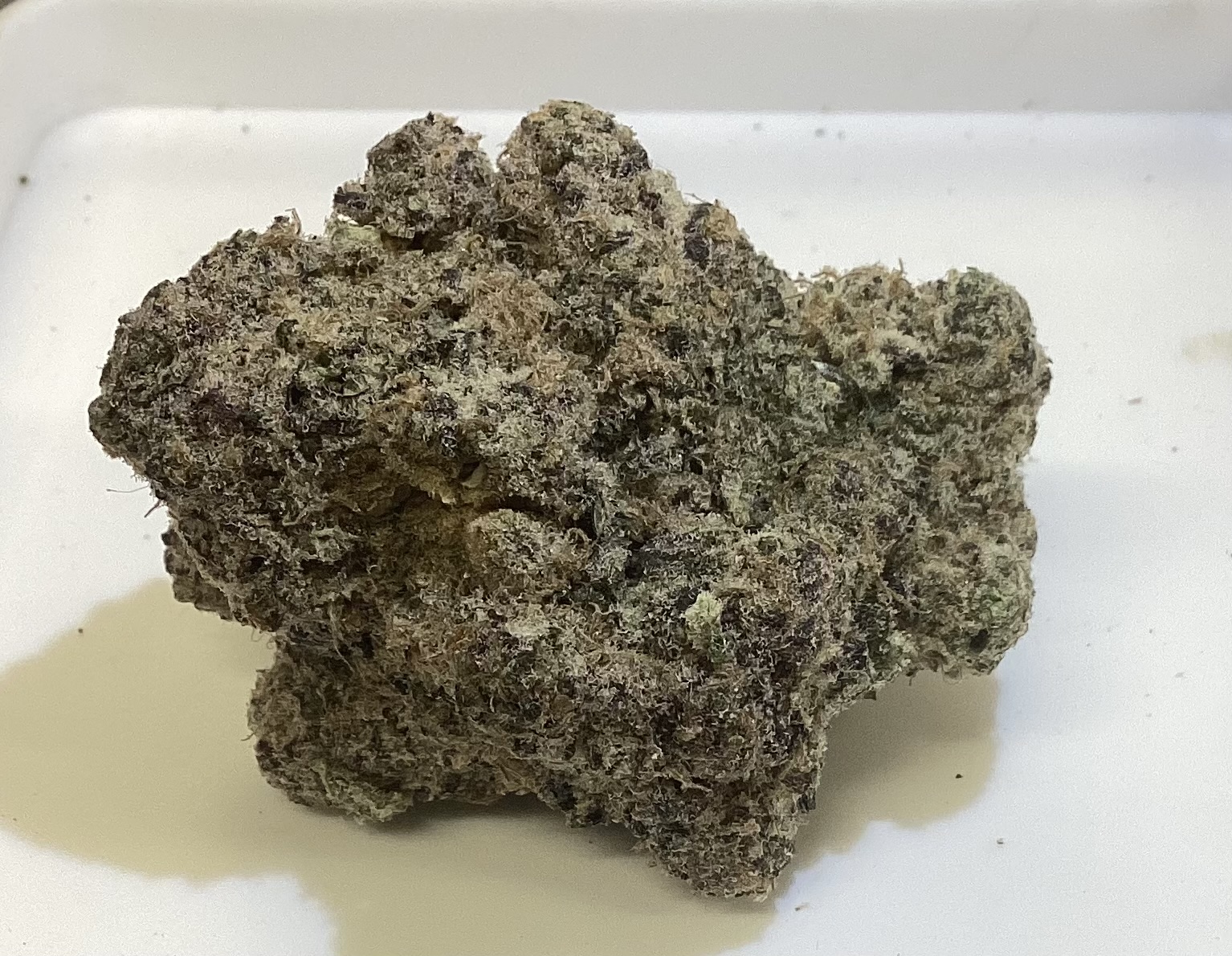 Alaskan Thunder Fuck