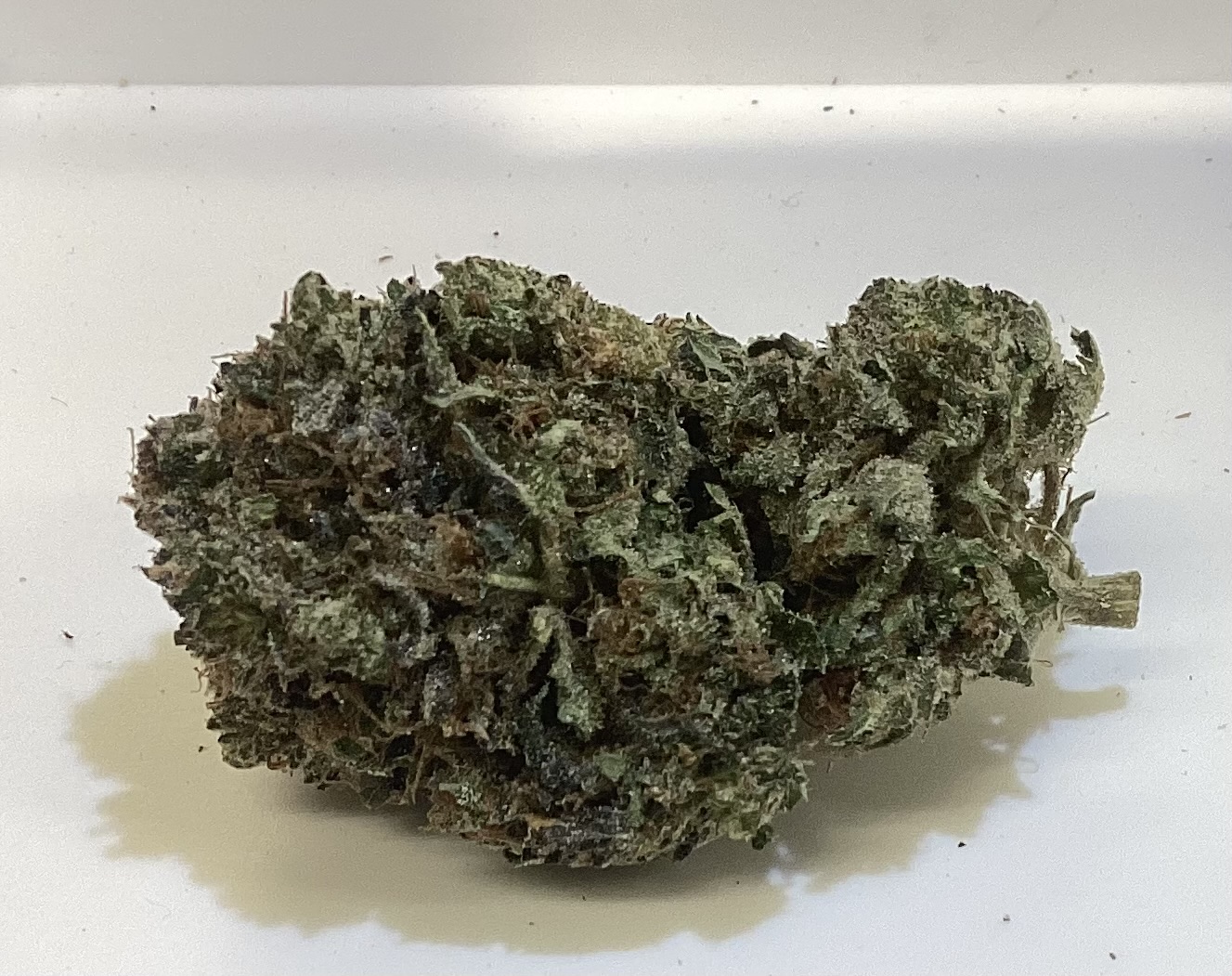 White Bubblegum
