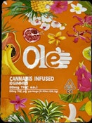 Watermelon - Gummies - 10 Pack - 100mg