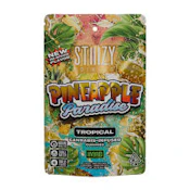 Pineapple Paradise Gummies 10x10 100mg
