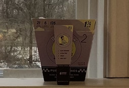 Blazey Suzan 1 1/4 6 pack cones purple