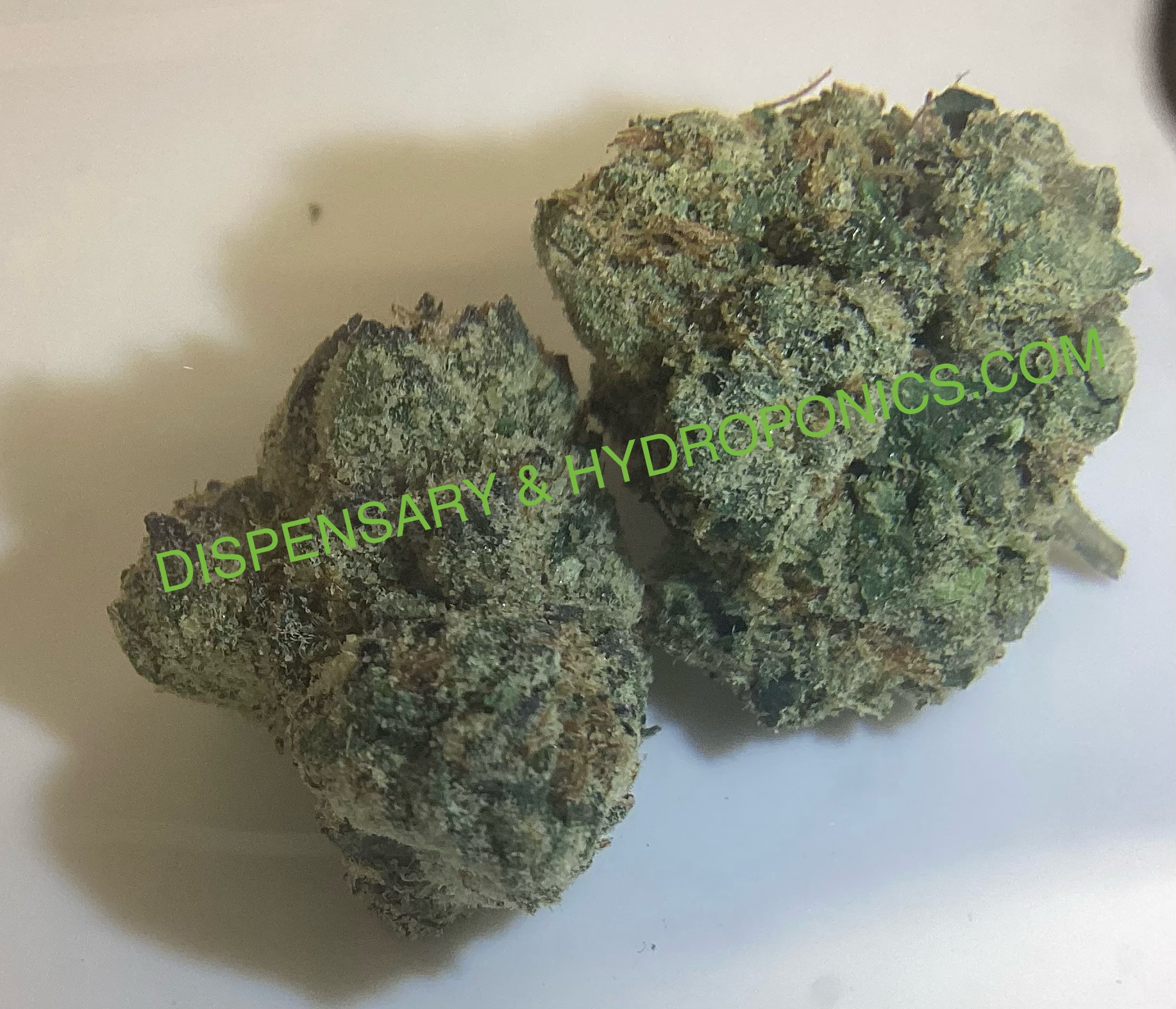 Flower Archives - The Dispensary and Hydroponic | Cannabi