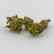 Alta Gardens | Flower [H] | Jealousy Gelato