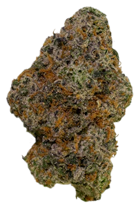 PLUSHCO - Cadillac Rainbows - Buds