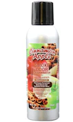 Odor Exterminator - Cinnamon Apple