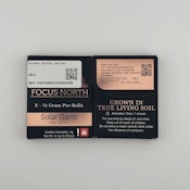 Focus North | 8pk PR [H] | Solar Garlic