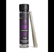 Dank - Purple Punch - 1.1G [infused] [I/H]