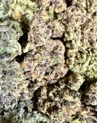 Sour Slumber | The Lone Tree